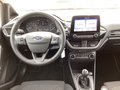 Daumennagel 6 - Ford Fiesta 1.0 EcoBoost Hybrid S&S TITANIUM Winter