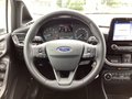Daumennagel 7 - Ford Fiesta 1.0 EcoBoost Hybrid S&S TITANIUM Winter