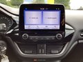 Daumennagel 9 - Ford Fiesta 1.0 EcoBoost Hybrid S&S TITANIUM Winter