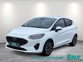 Daumennagel 1 - Ford Fiesta 1.0 EcoBoost Hybrid S&S TITANIUM Winter