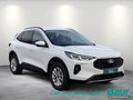 Daumennagel 2 - Ford Kuga 2.5 Duratec PHEV TITANIUM AHK Head-Up LED