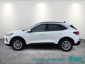 Daumennagel 3 - Ford Kuga 2.5 Duratec PHEV TITANIUM AHK Head-Up LED