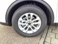 Daumennagel 5 - Ford Kuga 2.5 Duratec PHEV TITANIUM AHK Head-Up LED