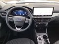 Daumennagel 6 - Ford Kuga 2.5 Duratec PHEV TITANIUM AHK Head-Up LED