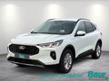 Daumennagel 1 - Ford Kuga 2.5 Duratec PHEV TITANIUM AHK Head-Up LED