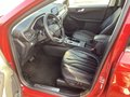 Daumennagel 14 - Ford Kuga 2.5 Duratec PHEV VIGNALE