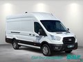 Daumennagel 2 - Ford Transit 350 L4H3 Lkw HA Trend Trennwand Metall