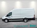 Daumennagel 3 - Ford Transit 350 L4H3 Lkw HA Trend Trennwand Metall