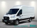 Daumennagel 1 - Ford Transit 350 L4H3 Lkw HA Trend Trennwand Metall