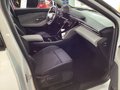 Daumennagel 12 - Ford Explorer Elektromotor Extended Range RWD 77kWh