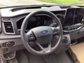 Daumennagel 7 - Ford e-Transit 350L3H2 89kWh Lkw HA Trend Holz-Ladeb
