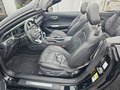 Daumennagel 12 - Ford Mustang Convertible 5.0 Ti-VCT V8 Aut. GT Magne
