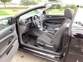 Daumennagel 12 - Ford Focus Coupe-Cabriolet 2.0 16V Black Magic Klima