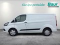 Daumennagel 3 - Ford Transit Custom 340 L1H1 LKW Trend AHK Kamera