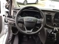 Daumennagel 8 - Ford Transit Custom 340 L1H1 LKW Trend AHK Kamera