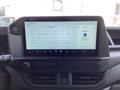 Daumennagel 9 - Ford Transit Custom 320 L1H1 PKW 4x4 Autm. Trail LED