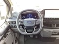 Daumennagel 11 - Ford Transit Custom 320 L1H1 PKW 4x4 Autm. Trail LED