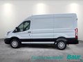 Daumennagel 3 - Ford Transit 350 L2H2 Lkw VA Trend Seitenw.verkl. ho