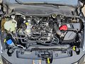 Daumennagel 15 - Ford Fiesta 1.0 EcoBoost Hyb. Aut.ST-LINE NAVI PDC