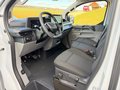 Daumennagel 14 - Ford Transit Custom 320 L2H1 LKW VA PHEV Trend Klima