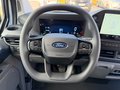 Daumennagel 9 - Ford Transit Custom 320 L2H1 LKW VA PHEV Trend Klima