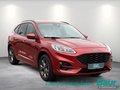 Daumennagel 2 - Ford Kuga 2.5 Duratec PHEV ST-LINE X LED NAVI AHK