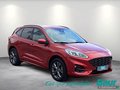 Daumennagel 2 - Ford Kuga 2.5 Duratec PHEV ST-LINE X LED NAVI AHK
