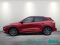 Daumennagel 3 - Ford Kuga 2.5 Duratec PHEV ST-LINE X LED NAVI AHK
