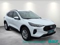 Daumennagel 2 - Ford Kuga 2.5 Duratec PHEV TITANIUM LED NAVI 360°Cam