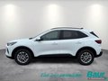 Daumennagel 3 - Ford Kuga 2.5 Duratec PHEV TITANIUM LED NAVI 360°Cam
