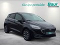 Daumennagel 2 - Ford Fiesta 1.0 EcoBoost S&S TITANIUM