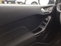Daumennagel 14 - Ford Fiesta 1.0 EcoBoost S&S TITANIUM