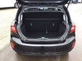 Daumennagel 17 - Ford Fiesta 1.0 EcoBoost S&S TITANIUM