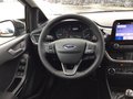 Daumennagel 7 - Ford Fiesta 1.0 EcoBoost S&S TITANIUM