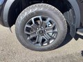 Daumennagel 5 - Ford Ranger 2,0 l EcoBlue DoKa. Autom. Wildtrak LED