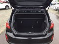 Daumennagel 15 - Ford Fiesta 1.0 EcoBoost Hybrid S&S ST-LINE NAVI LED