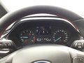 Daumennagel 8 - Ford Fiesta 1.0 EcoBoost Hybrid S&S ST-LINE NAVI LED