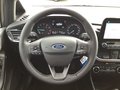 Daumennagel 7 - Ford Fiesta 1.0 EcoBoost S&S TITANIUM Winter-Paket