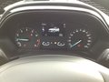 Daumennagel 8 - Ford Fiesta 1.0 EcoBoost S&S TITANIUM Winter-Paket