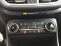Daumennagel 9 - Ford Fiesta 1.0 EcoBoost S&S TITANIUM Winter-Paket