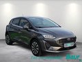 Daumennagel 2 - Ford Fiesta 1.0 EcoBoost S&S TITANIUM Winter-Paket