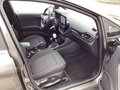 Daumennagel 13 - Ford Fiesta 1.0 EcoBoost S&S TITANIUM Winter-Paket