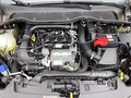 Daumennagel 15 - Ford Fiesta 1.0 EcoBoost S&S TITANIUM Winter-Paket
