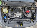 Daumennagel 15 - Ford Fiesta 1.0 EcoBoost S&S TITANIUM Winter-Paket