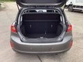 Daumennagel 17 - Ford Fiesta 1.0 EcoBoost S&S TITANIUM Winter-Paket