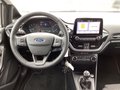 Daumennagel 6 - Ford Fiesta 1.0 EcoBoost S&S TITANIUM Winter-Paket