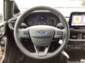 Daumennagel 7 - Ford Fiesta 1.0 EcoBoost S&S TITANIUM Winter-Paket