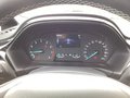 Daumennagel 8 - Ford Fiesta 1.0 EcoBoost S&S TITANIUM Winter-Paket