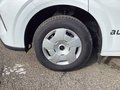 Daumennagel 7 - Ford Transit Custom 280 L1H1 LKW VA Trend LED