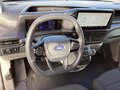 Daumennagel 8 - Ford Transit Custom 280 L1H1 LKW VA Trend LED